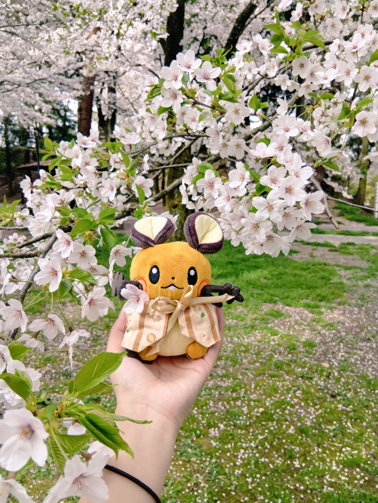 VRpfzq's tweet photo. 🌸デデンネ🌸 https://t.co/NeVj9RUlv9