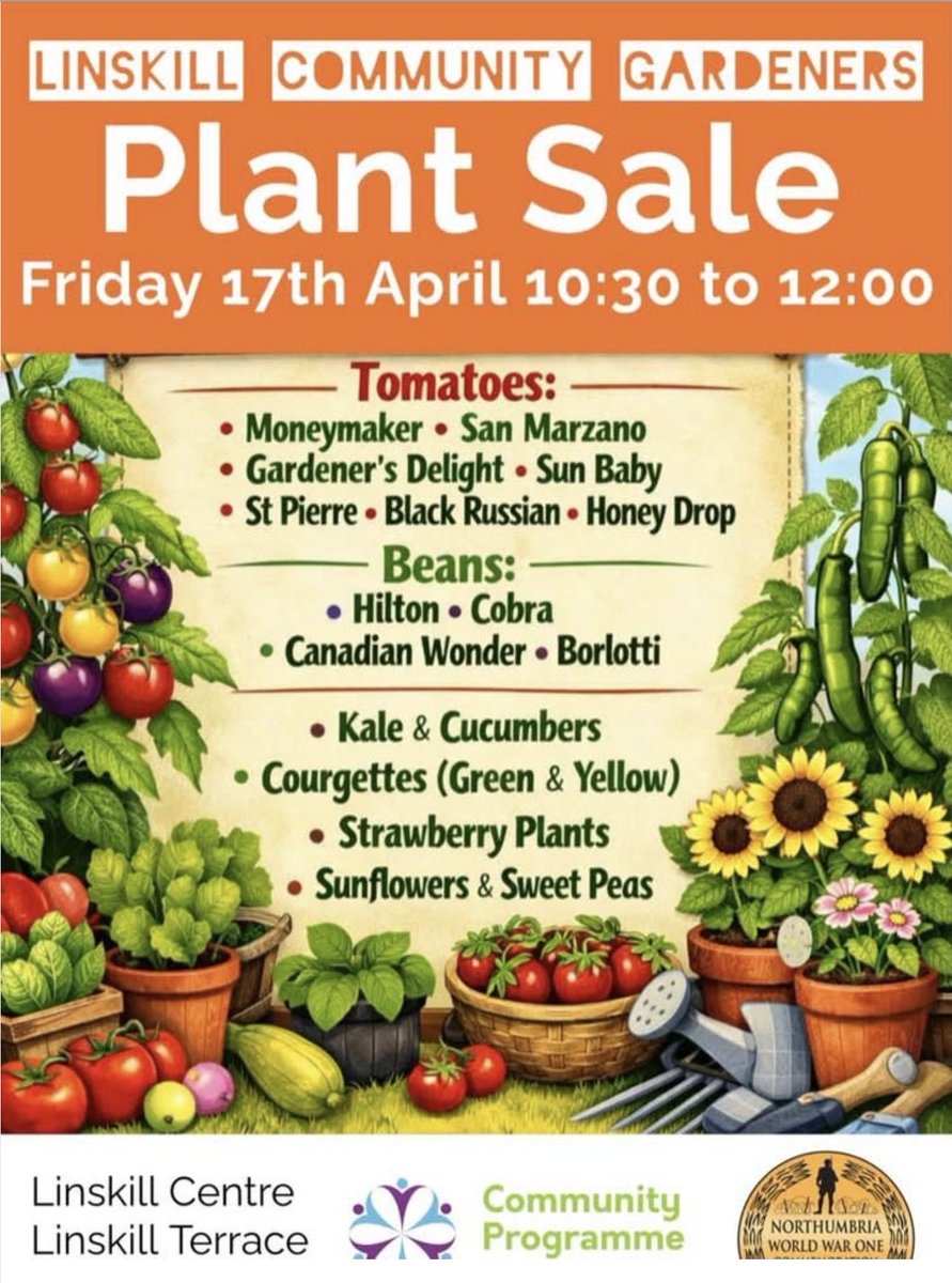 Old Low Light 💙 tweet media