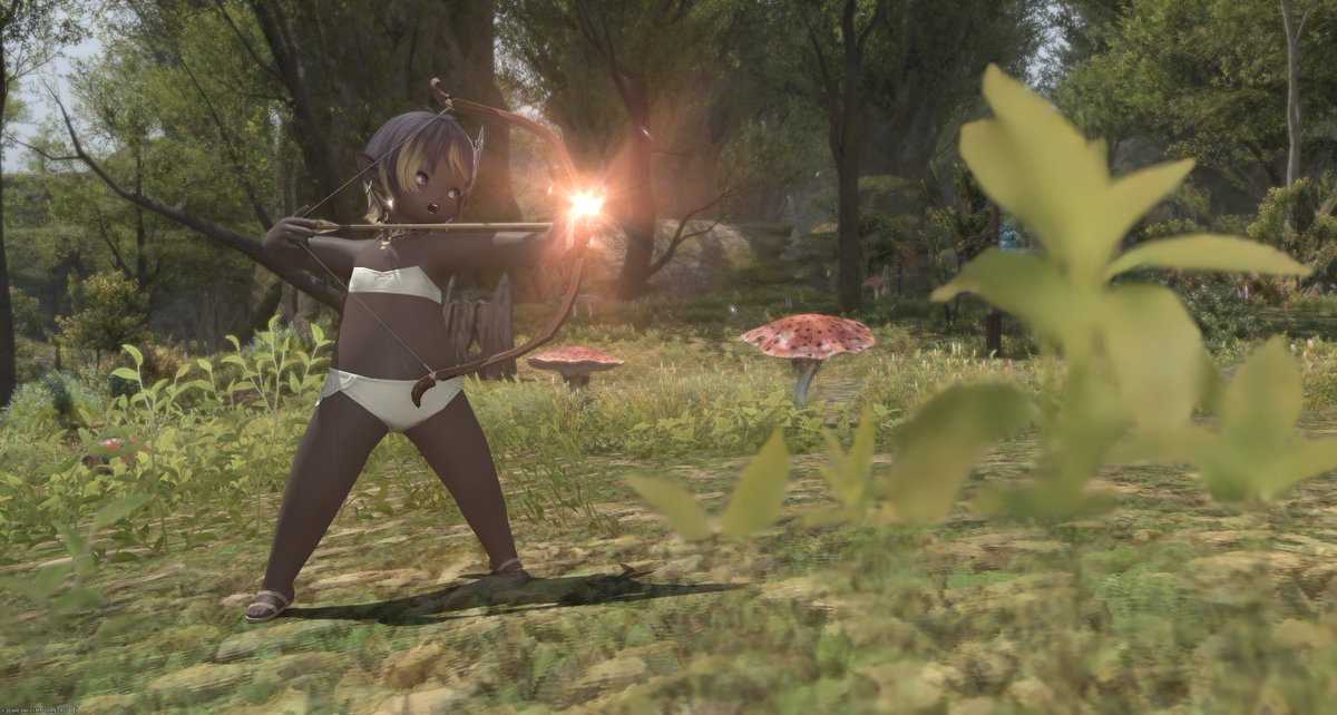 ひつじ🐏 tweet media