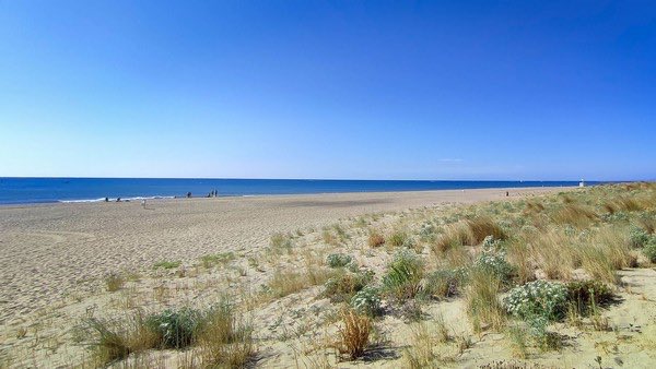 Wolf 🐺 tweet media