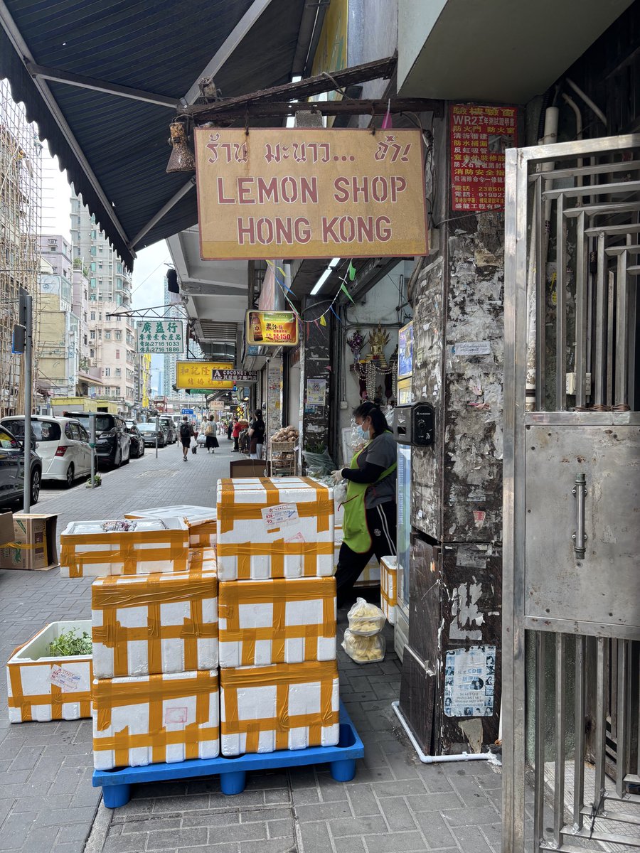 Goose Lee 💙💛 tweet media