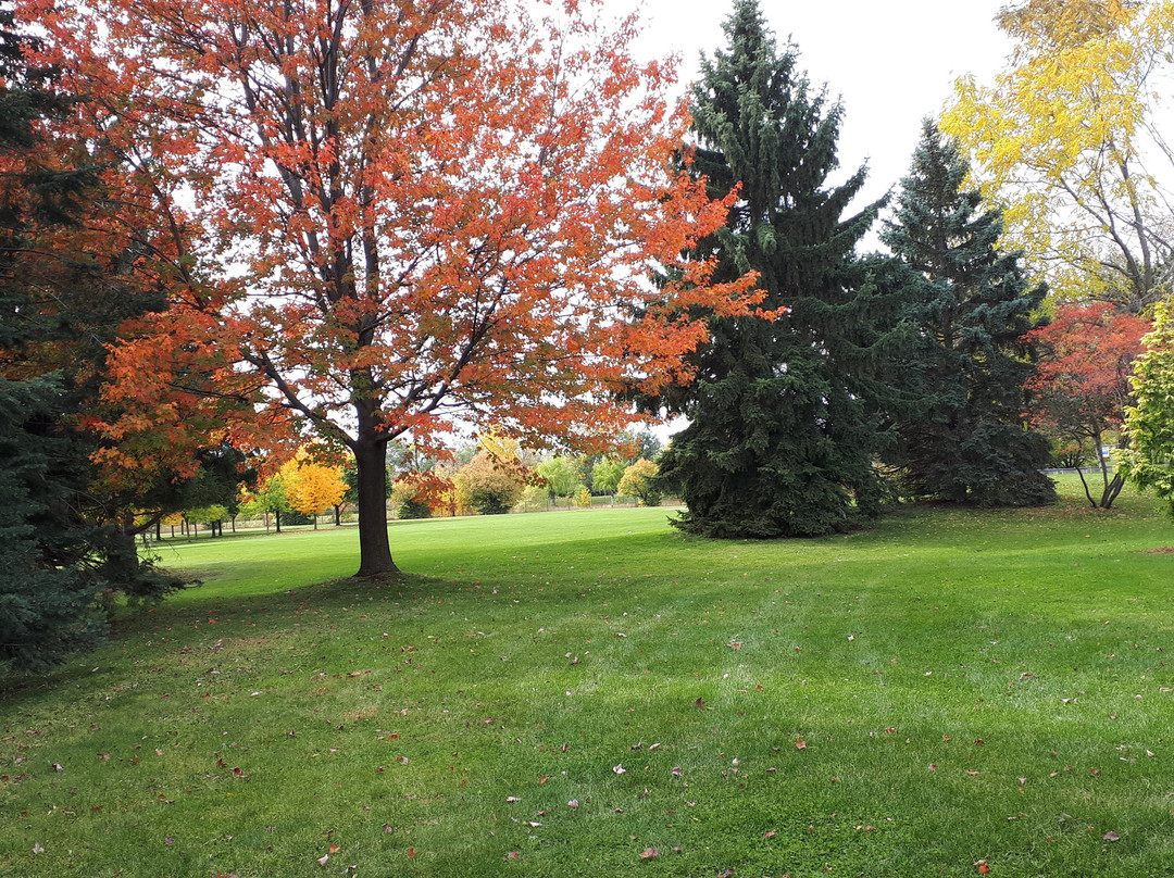 Eva Sanchez tweet media