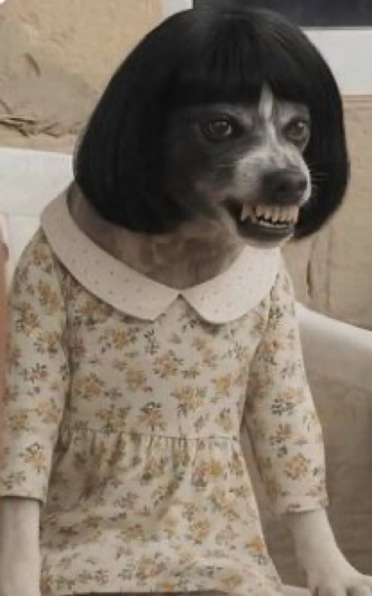 Lulu💜 tweet media