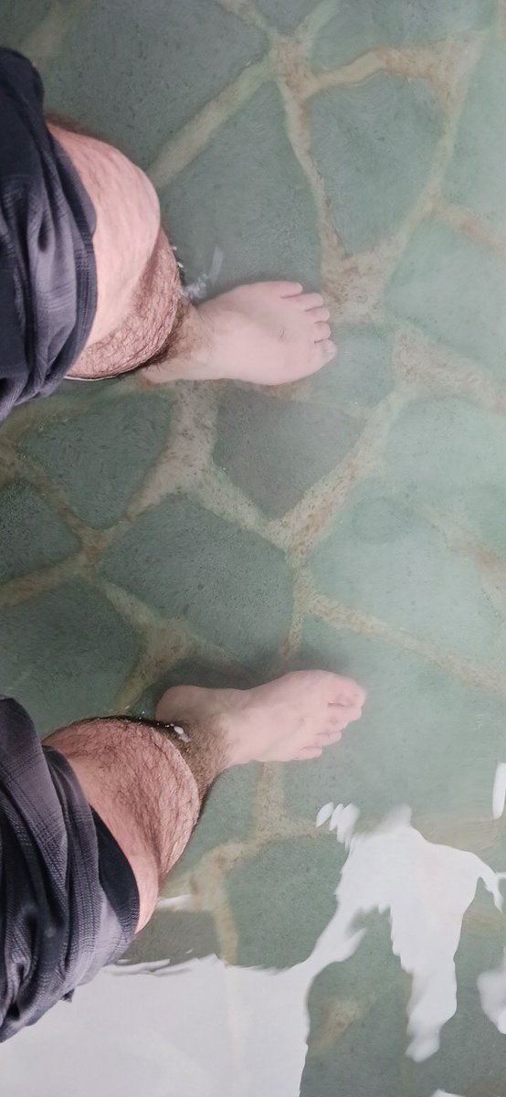 野生児課長 tweet media