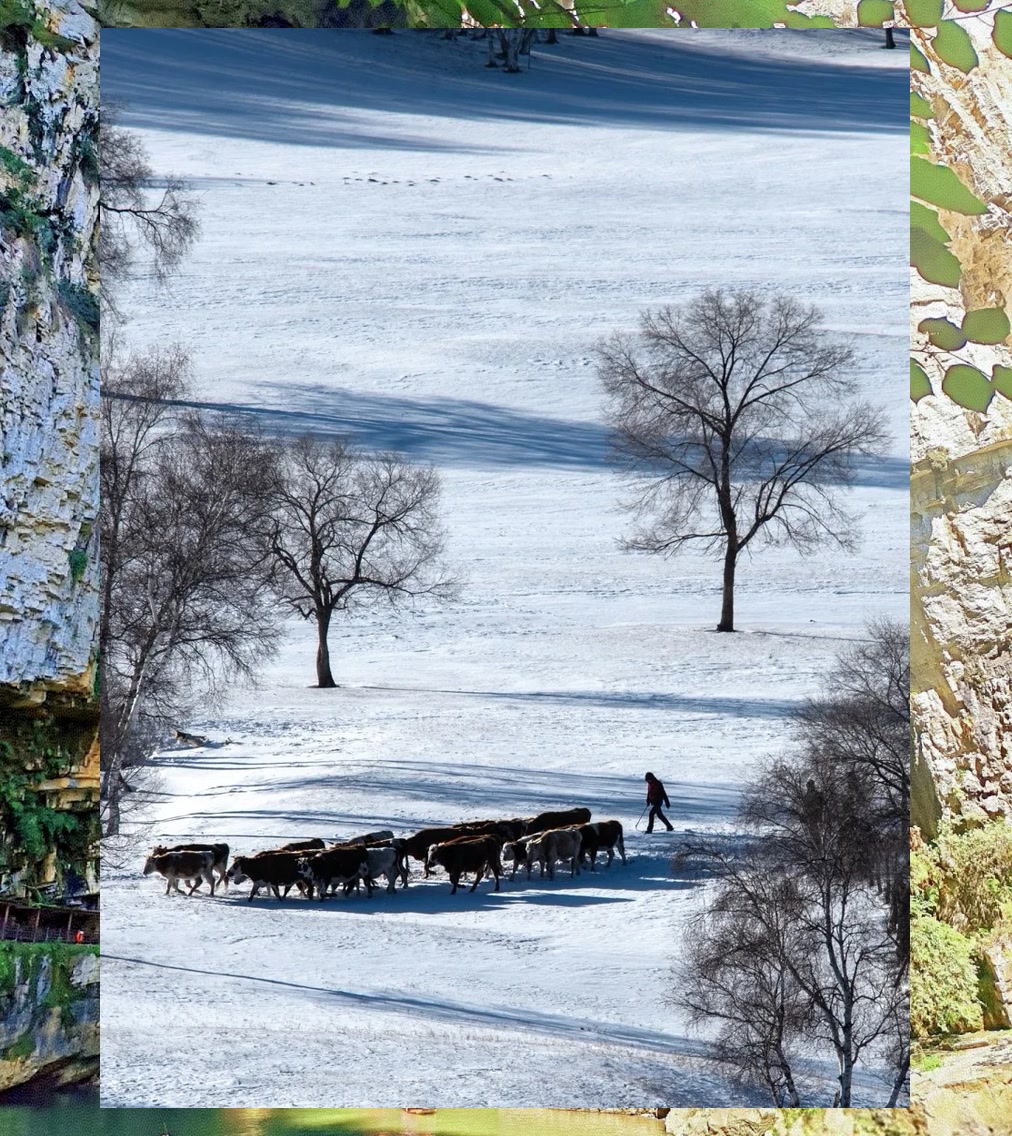 Emmanuel Pacino tweet media