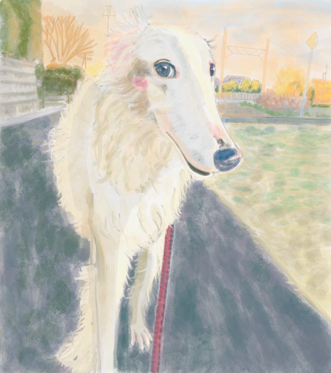 はるかぜ tweet media