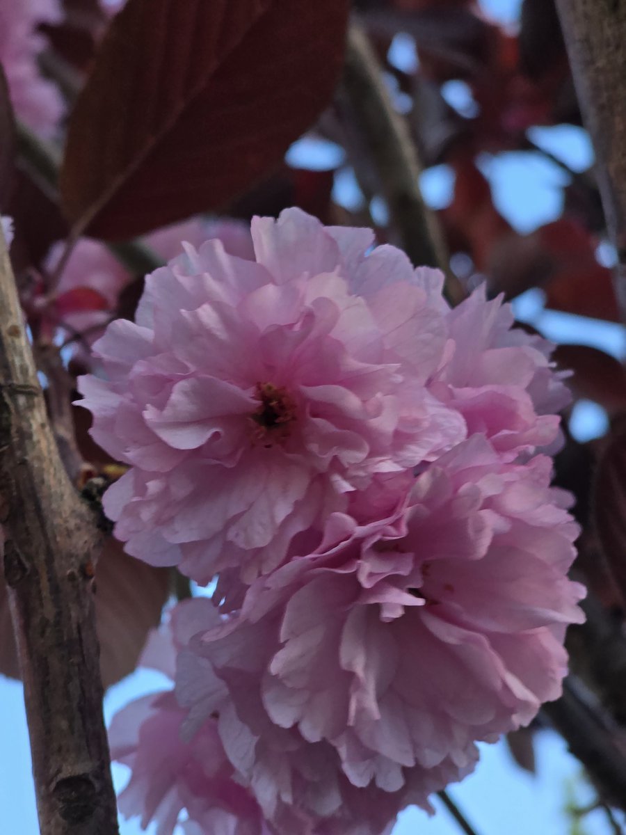 Blake Rave tweet media