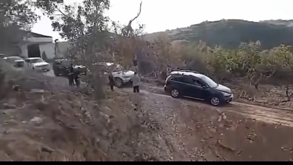 منى صفوان -Mona Safwan tweet media