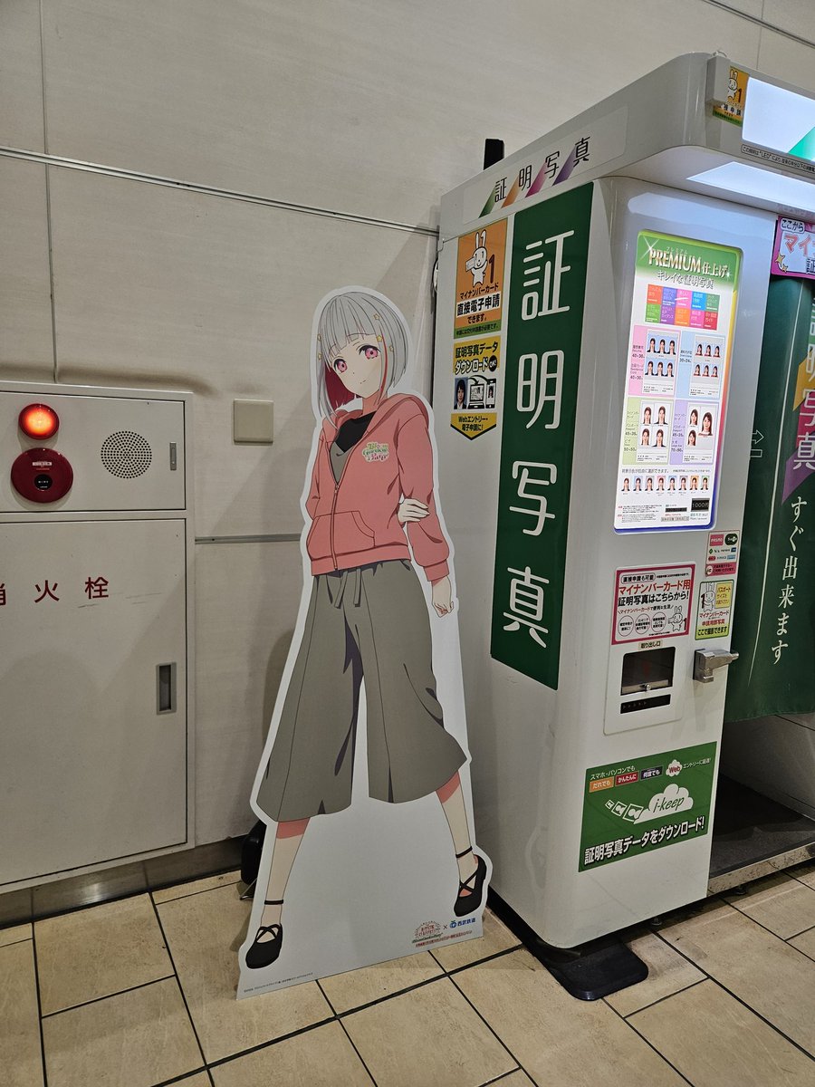 Dieき。P tweet media