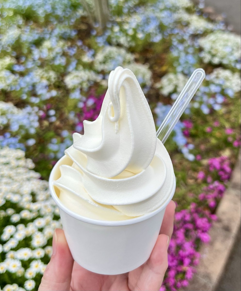 tsumatomo tweet media