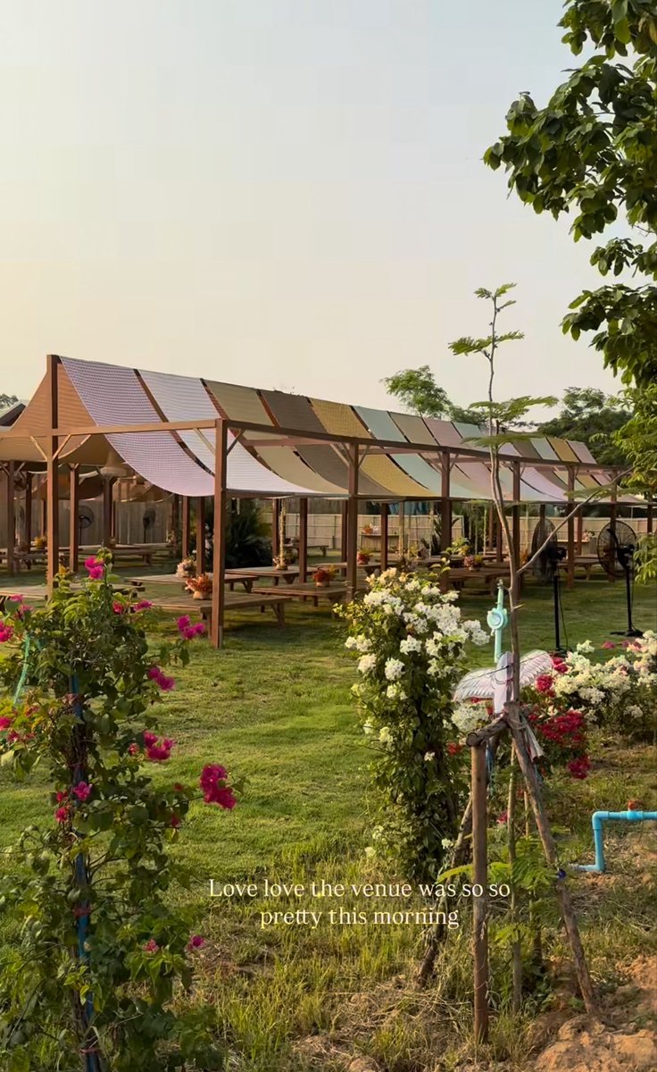 ` 마 크 잭 슨 . tweet media