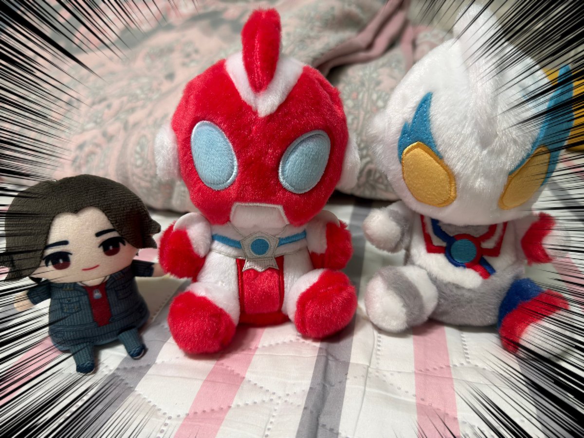 시온(しおん) tweet media