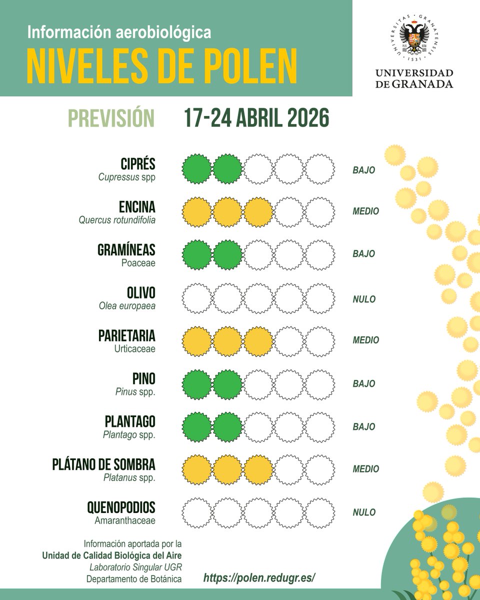 CanalUGR's tweet image. #InformePolenUGR | Previsión del 17 al 24 de abril

🛑 Finalizan las floraciones de cipreses y plátanos de sombra en la ciudad de #Granada

🌷 Otras floraciones de primavera ya comienzan a detectarse en la atmósfera de Granada con niveles bajos⬇️

🔗 canal.ugr.es/noticia/finali…