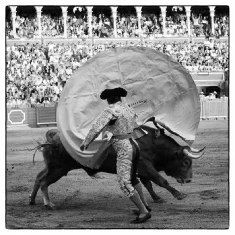 Que escándalo de foto por favor, que barbaridad.