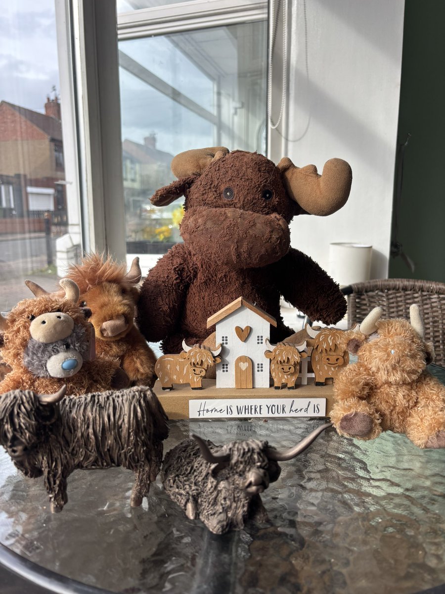 waddells74's tweet photo. 🌼💕🌼💕🌼💕🌼💕🌼
#AmazingApril 🌟 ✨ ✨ xx
Wonderful Happy 😃 times xx 💕 
Enjoy your Day ! ✨ love 💕 Rayer Fay x Cranberry 🦌 pie x pals xx 🐂 💕🌼💕🌼💕🌼 https://t.co/01r42U4pHh