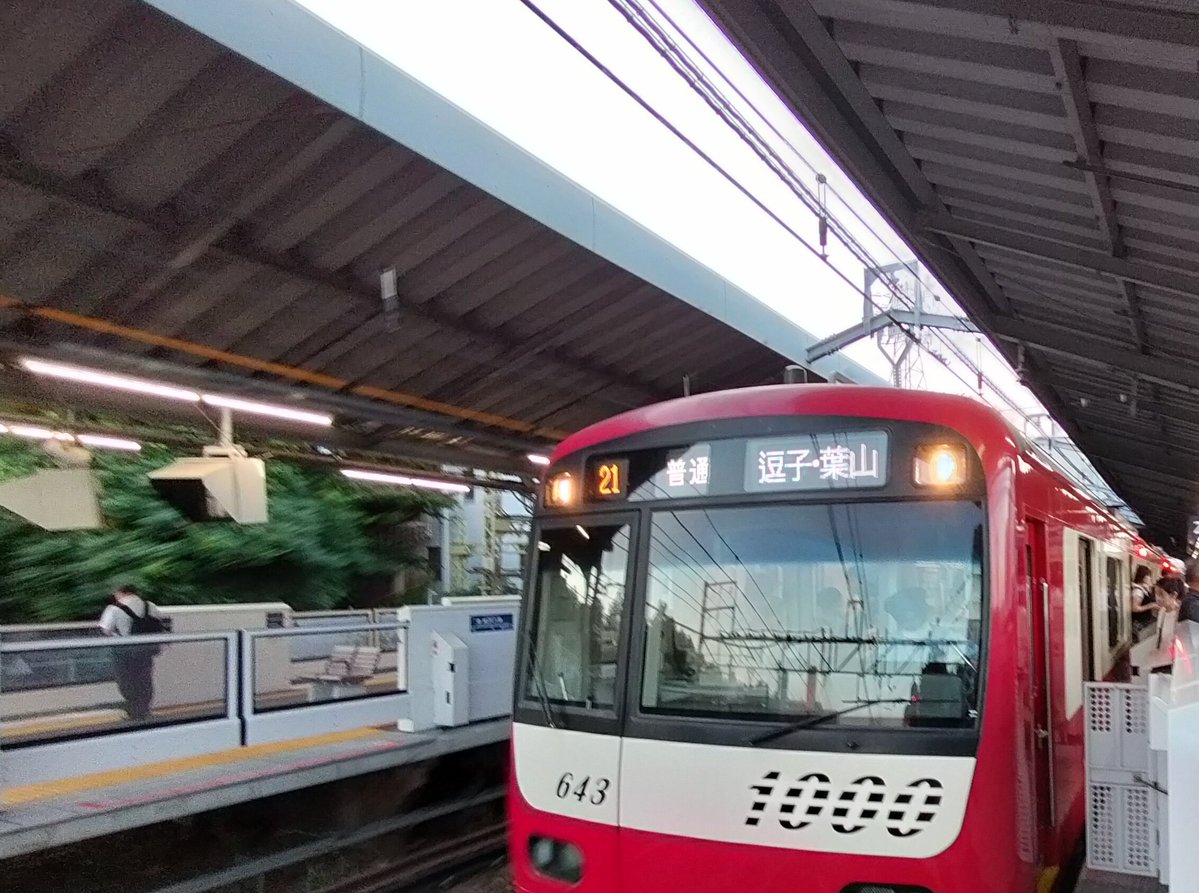 東山📸 tweet media