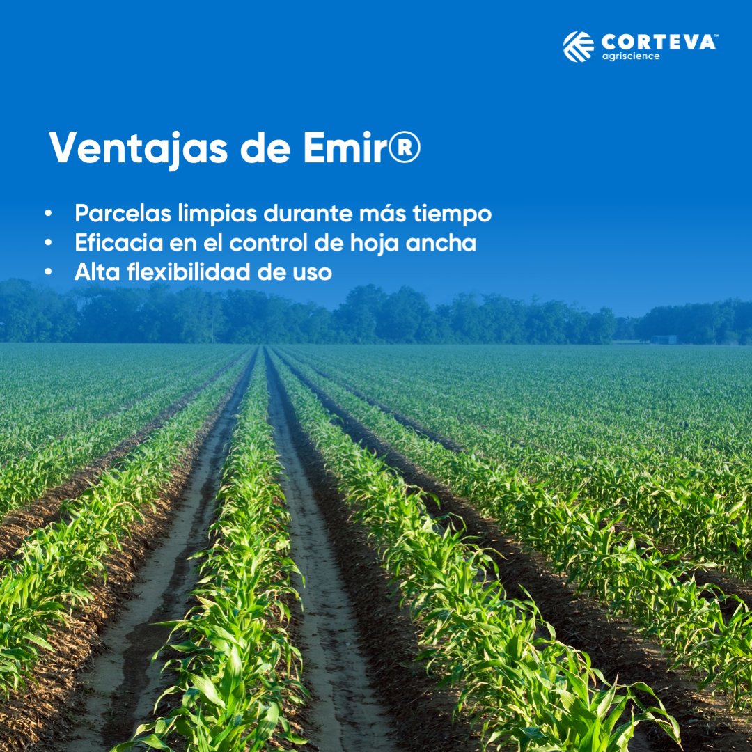 Corteva España tweet media