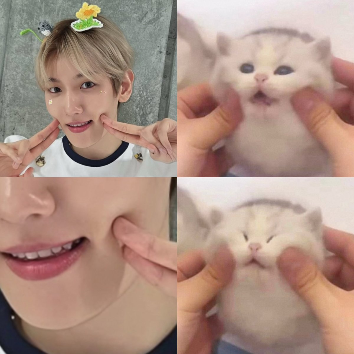 beatagen tweet media