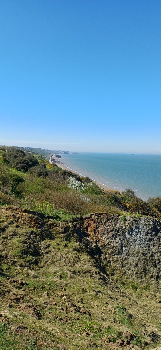 Marc Heath tweet media