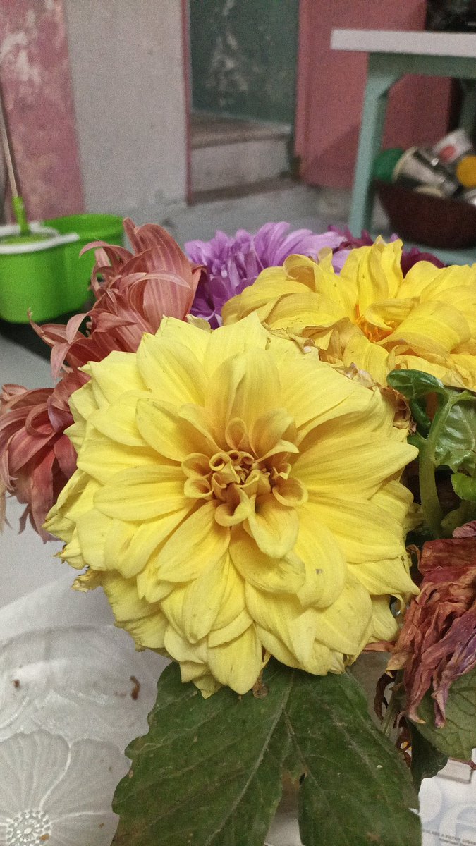 Weknowthe tweet media