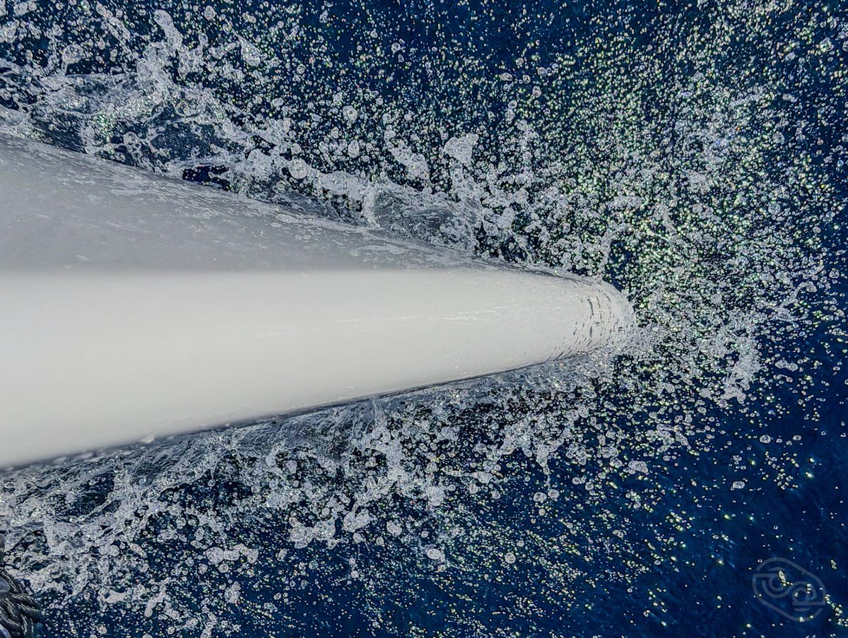 Nous sommes dans les dernières heures du vote…
Pour le Multihull of the Year 2026.  Balance 502 

VOTEZ MAINTENANT → multihulloftheyear.com

Les votes se clôturent demain

📸 Superbes clichés de “Tiger Lily” par <a href="/p_shaughnessy/">Pat</a>
#multihull #balance502 #multihulloftheyear