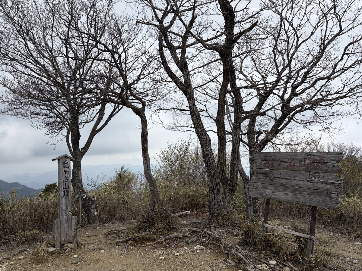 884ken13's tweet photo. 岐阜の瓢ヶ岳へ行ってきた。
尾根に出るまでは沢の近くを登っていく感じで、雰囲気とってもよかったです。
登りやすいしおすすめ。 https://t.co/2K4rKaJyks