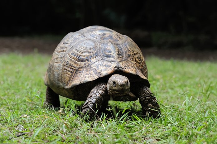 Made in kurdi 🎶 tweet media