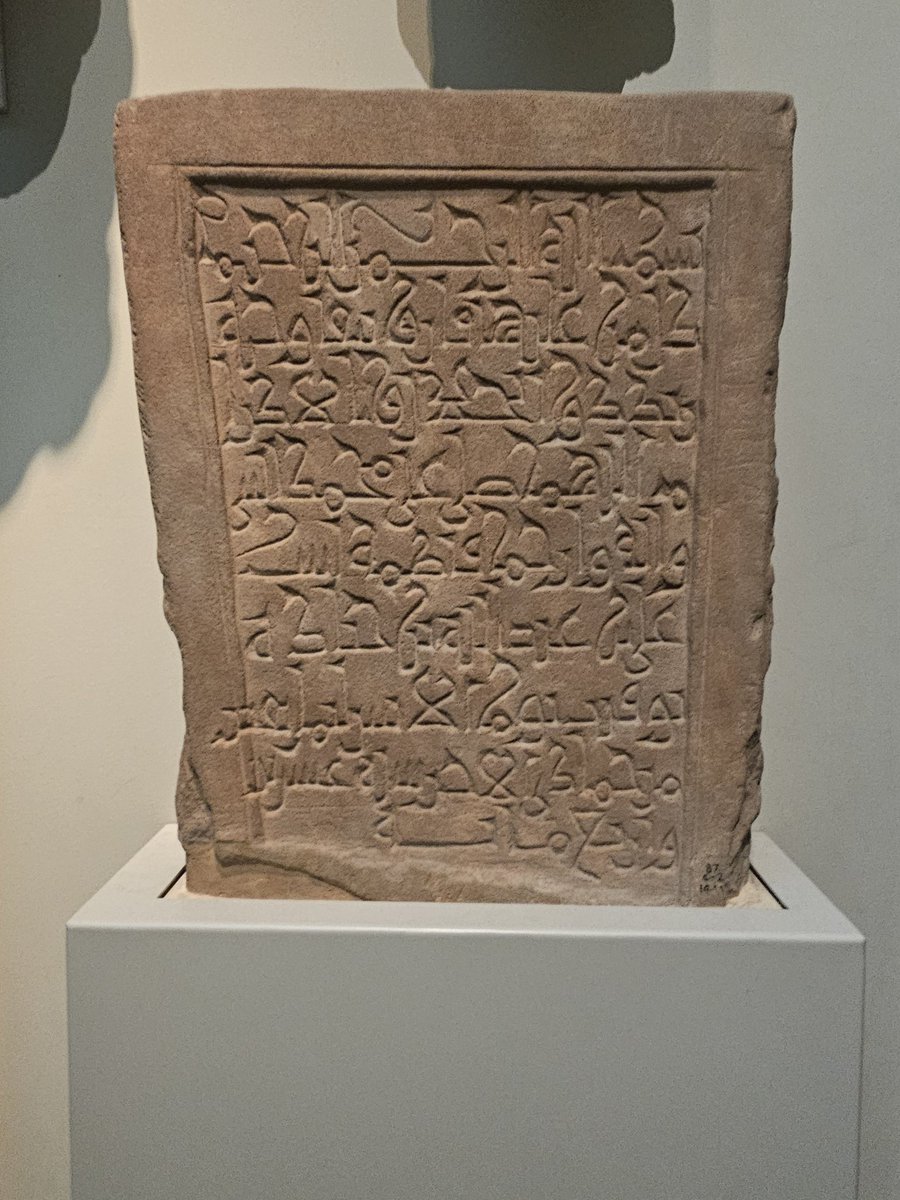 تركي الغامدي tweet media