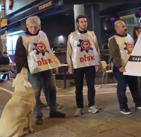 Dayanışma Postası tweet media