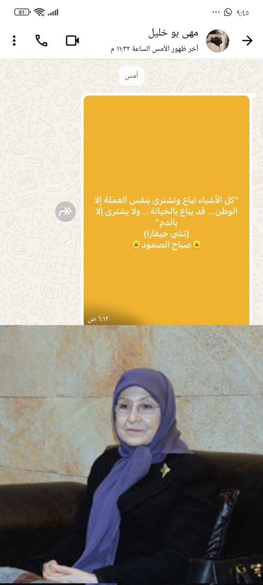 هذا آخر صباحات الدكتورة مهى ابو خليل التي كنا نفتتح أيامنا بتحيتها مع شروق الشمس
وقبل انتهاء اليوم،  كانت واحدة من ضحايا غارات صور.و لا تزال مفقودة تحت الركام.
تعرف المناضلة العتيقة بأن اسرائيل غدارة و بأن الخيانة لا يجتثها سوى الدم.ولطالما كانت شهيدة حية مذ ان رفضت المغادرة