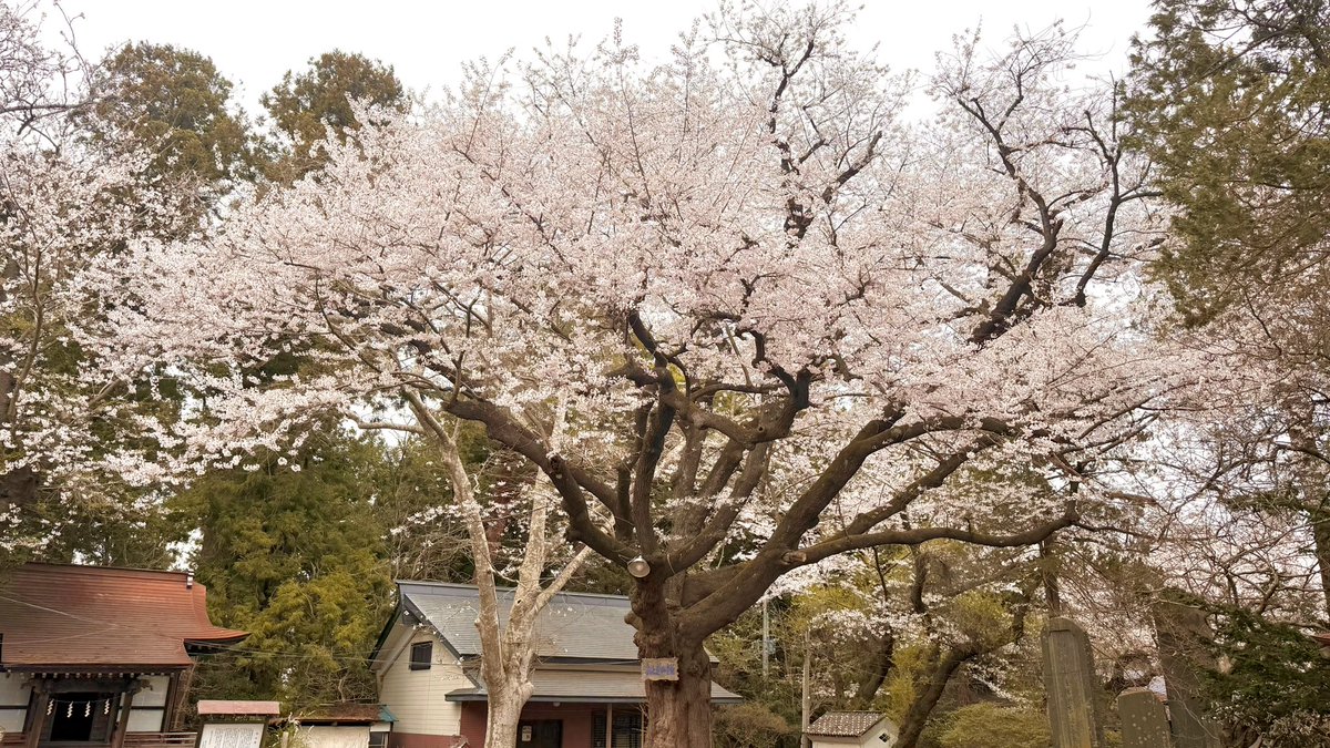 ばらん🏳️‍🌈 tweet media