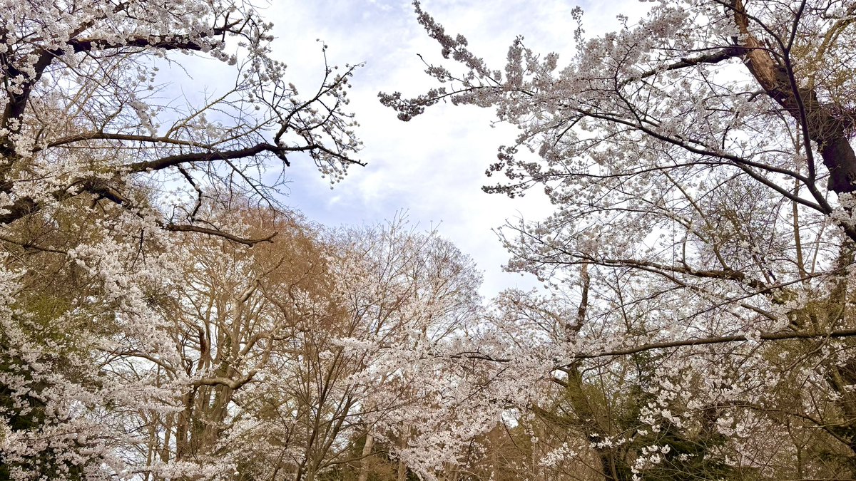 ばらん🏳️‍🌈 tweet media