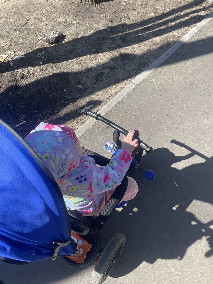 antonovskaia tweet media