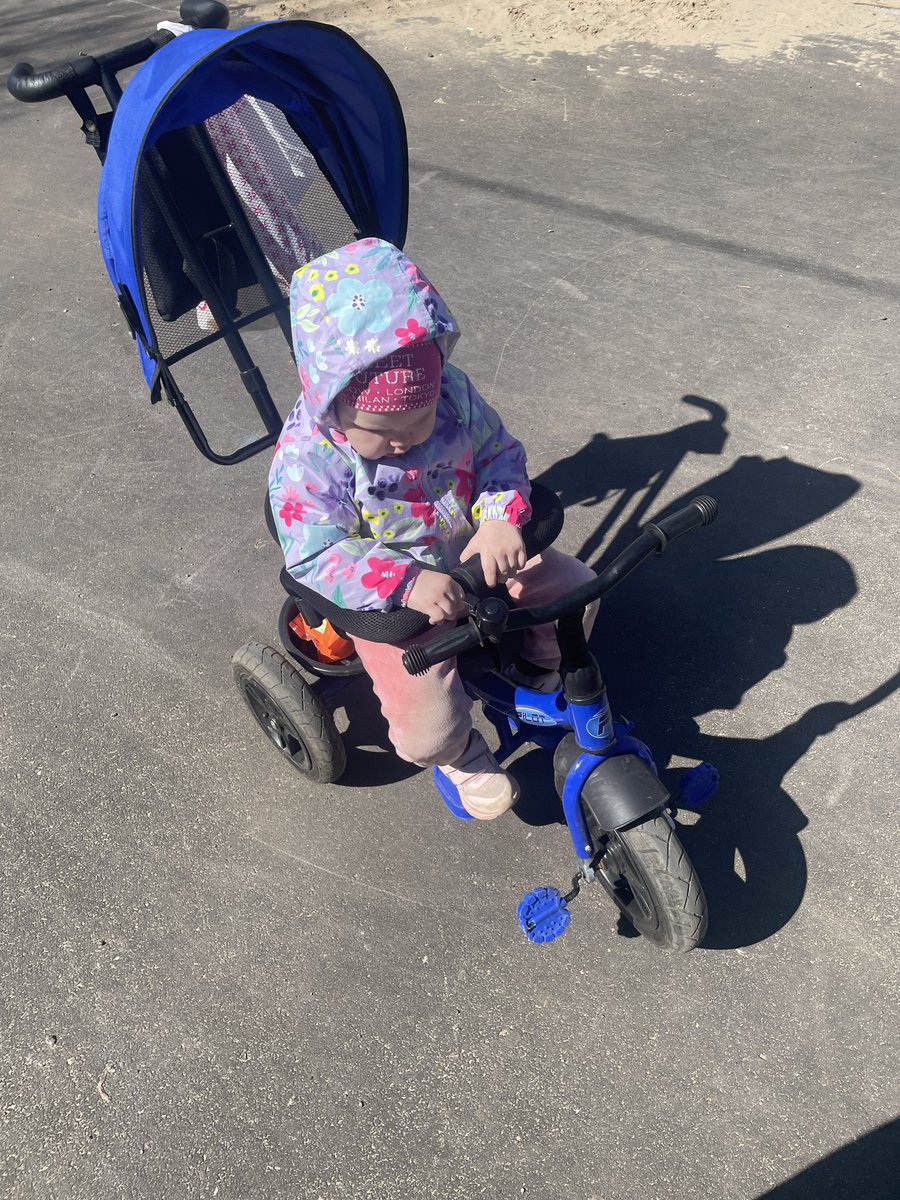 antonovskaia tweet media