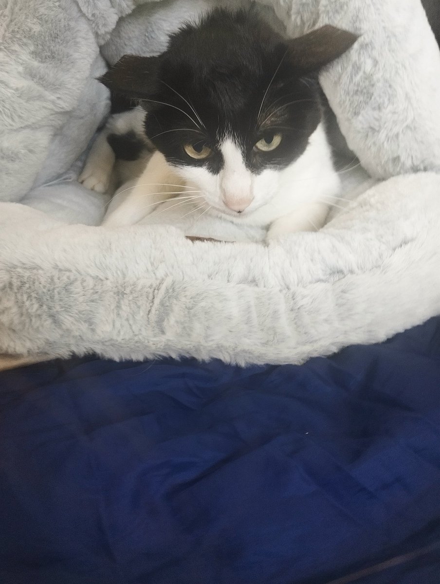 Nieves 🍉 tweet media