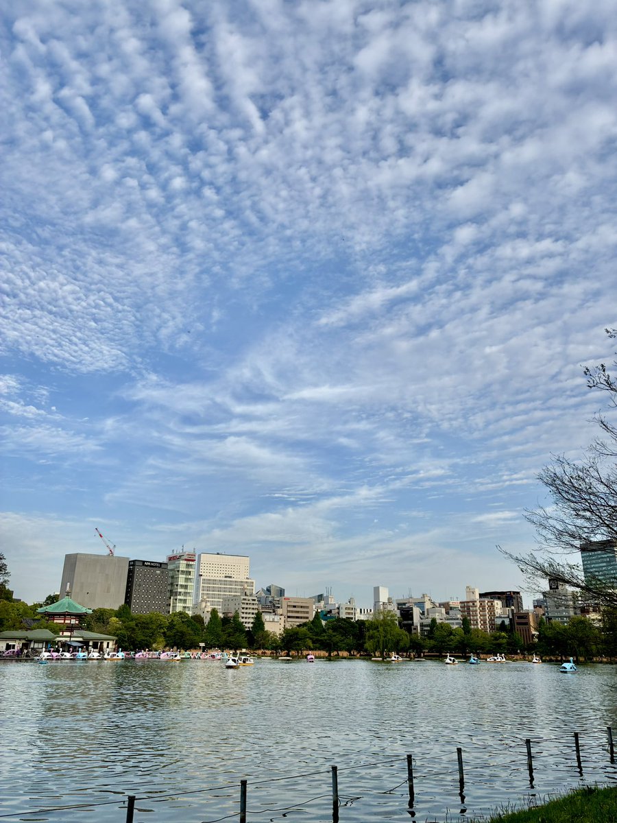 配達オッパ tweet media