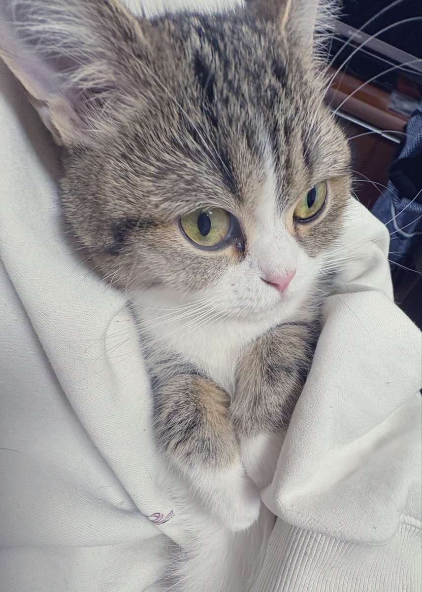 るか🌟 tweet media