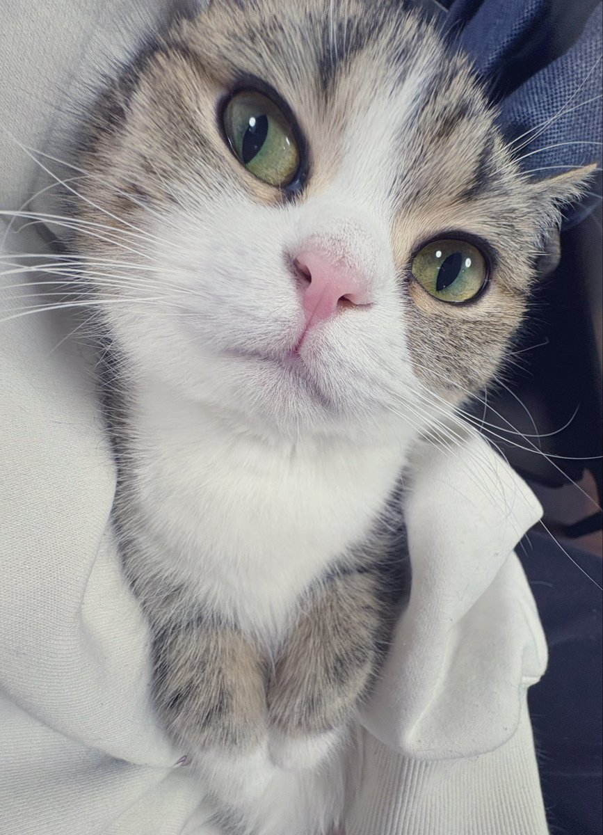 るか🌟 tweet media