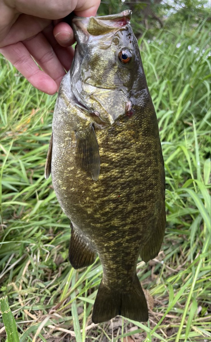 ＣＲＥＷ tweet media