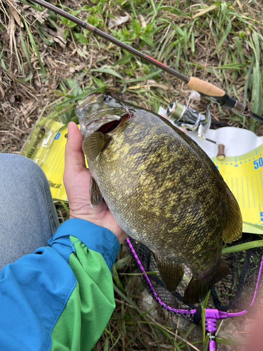 ＣＲＥＷ tweet media