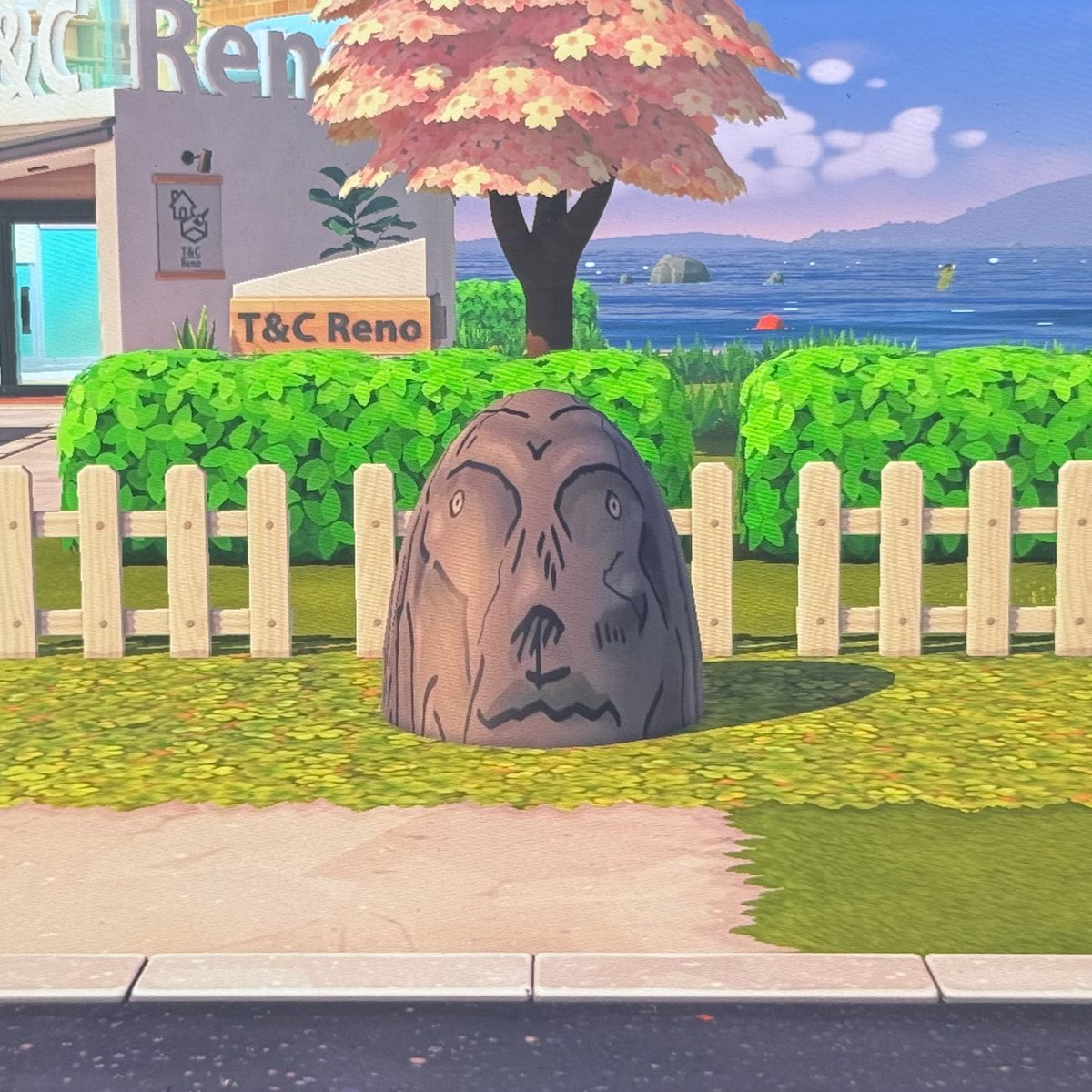 しもちゃん tweet media