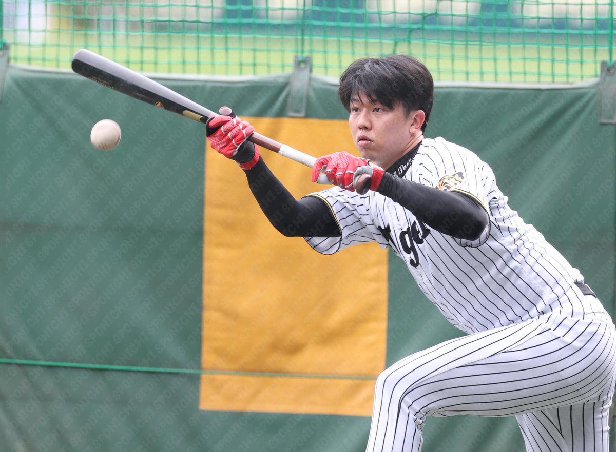 スポニチTIGERSフォト tweet media