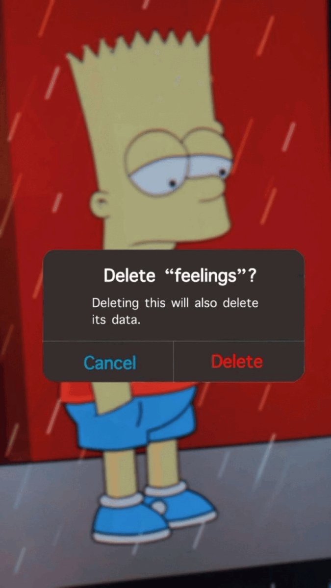 liri ❀ tweet media