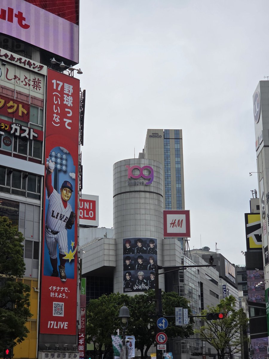 copo（こぽ）♡(•ө•)♡ tweet media