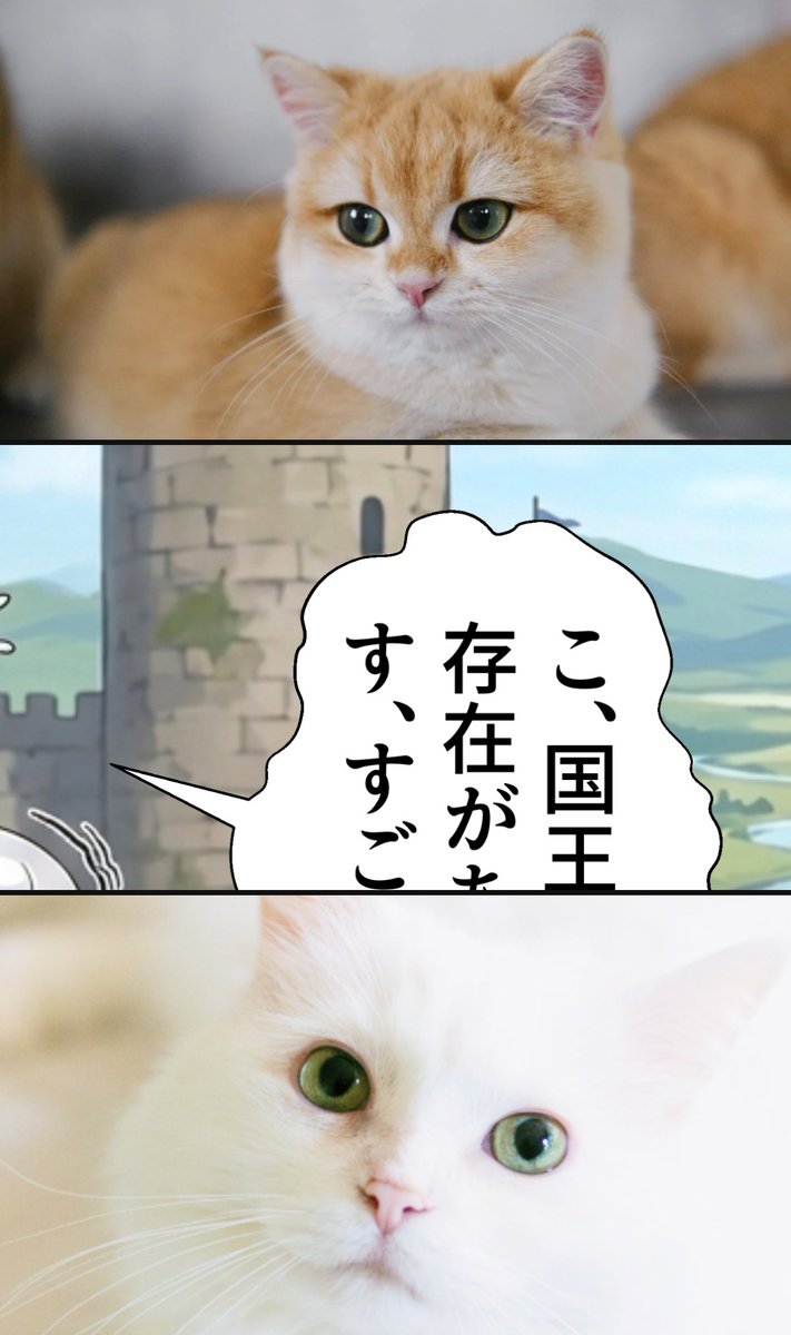 ミルクちゃん tweet media