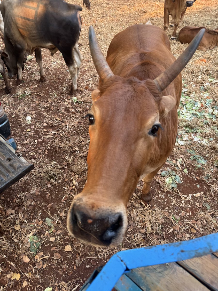 aomm🌈 tweet media