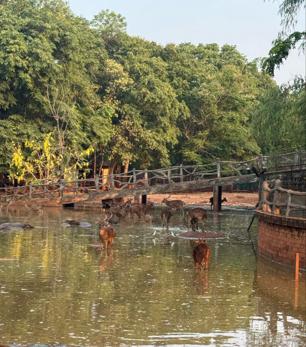 aomm🌈 tweet media