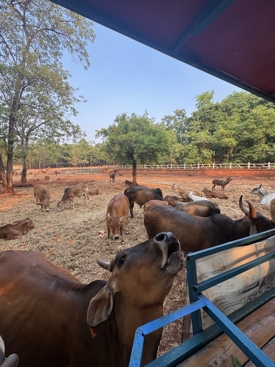 aomm🌈 tweet media