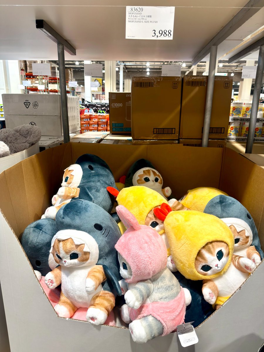 もふモフれな tweet media