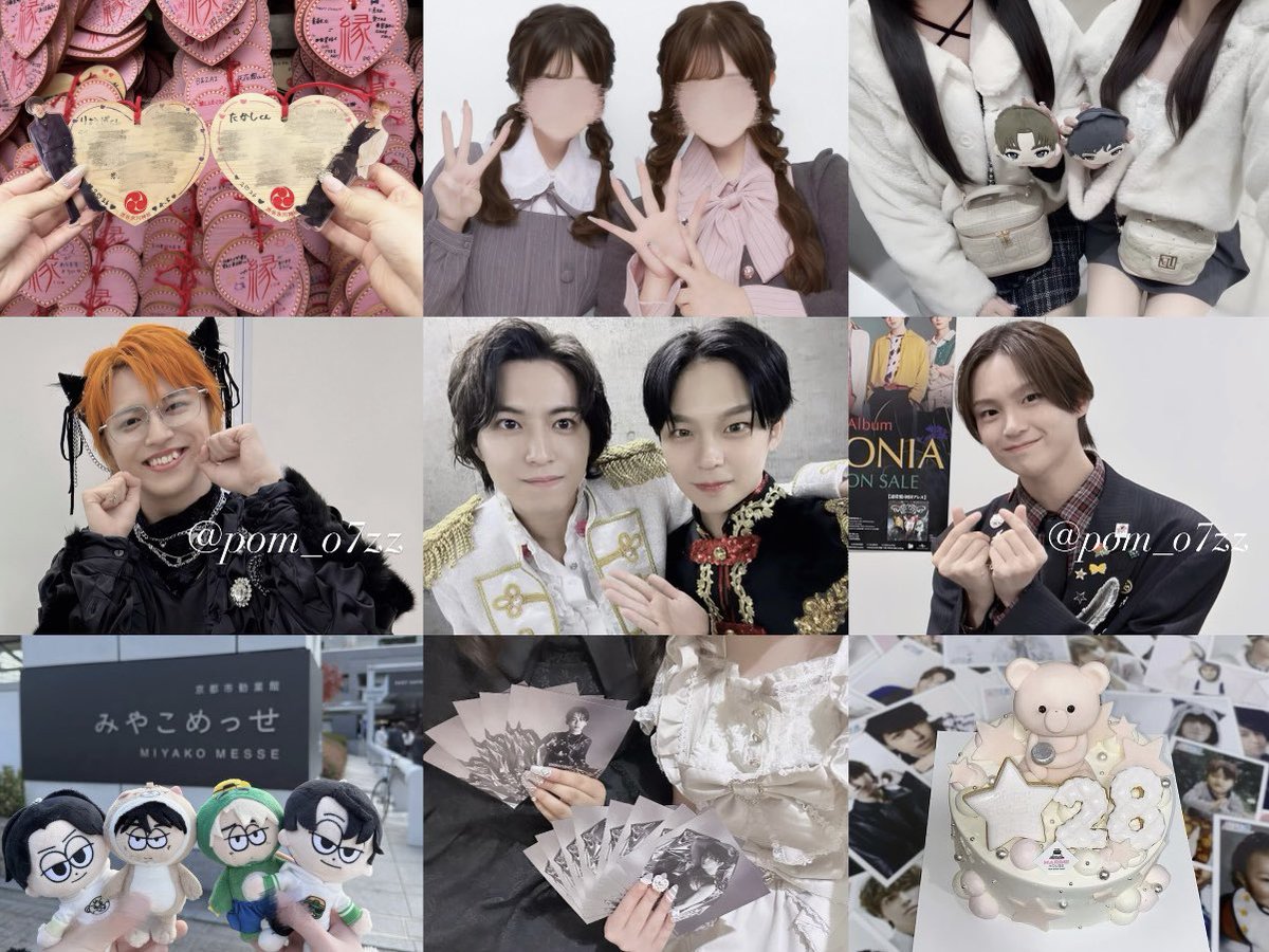 🤍🐾 tweet media